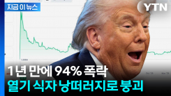 "트럼프 일가는 이미 1조 넘게 이익"...1년새 94% 폭락한 코인 [지금이뉴스]