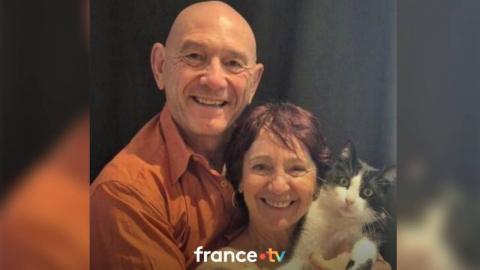 5개월 전 여행지에서 잃어버린 고양이, 250km 걸어 돌아와