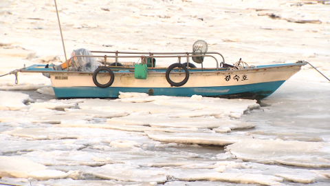 맹추위에 바닷물도 ’꽁꽁’…애타는 어민들