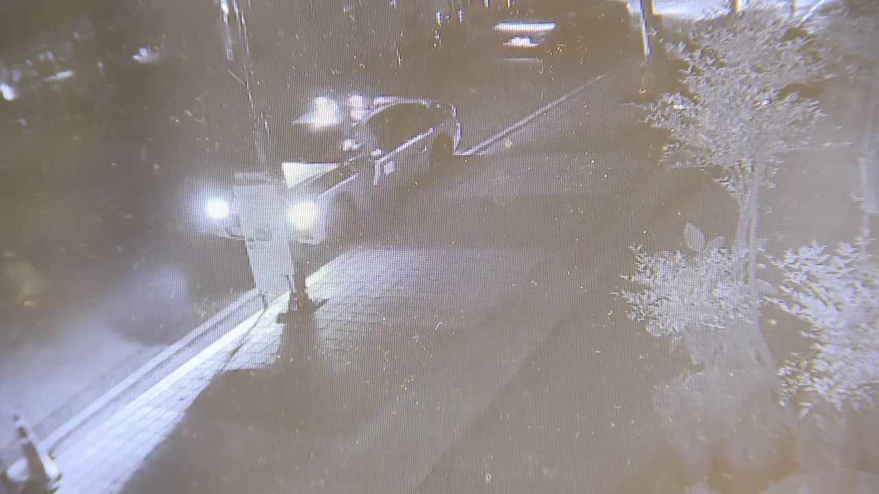 ’불송치 결정’ 나나, 자택 침입 강도 무고죄로 고소