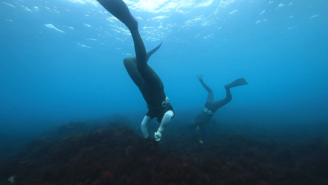 제주 해녀 10명 중 6명은 ’70대’…소멸 위기 가속화