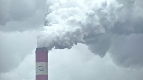 올해도 역대급 더위 온다…"기온 낮을 가능성 0%"