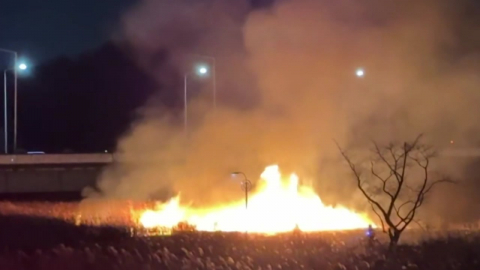 한파 속 아파트 정전…울산 태화강변 갈대밭 ’활활’