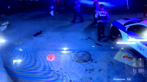 [단독] 시장에서 가스총 쏘고 흉기 난동 2명 영장…"술 마시다 시비"