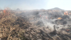 건조 특보에 강풍까지...전국 곳곳 동시다발 산불