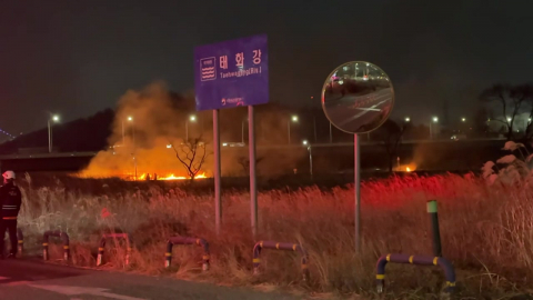 태화강 억새밭 동시다발 불...방화 여부 수사 [앵커리포트]