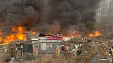 추위 속 1월 산불 예년보다 증가 ’영남 또 빨간불’…서울도 비상