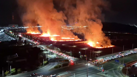 자전거 타며 바짝 마른 억새밭 방화…구속영장 신청