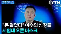 머스크 말에 반대로 베팅했더니...수익률 \'짭짤\' [지금이뉴스]