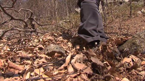 [날씨] 영하 10℃ 안팎 \'길어지는 동장군\'…전국 산불위기경보 \'주의\'
