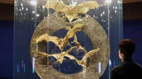 \'혈세낭비\' 비판받던 황금박쥐상…27억→386억원 \'껑충\'