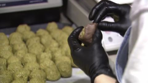 \'두바이쫀득쿠키\' 위생 괜찮나…식약처, 집중 점검 착수