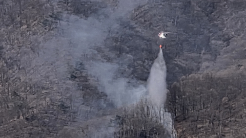 강원도 홍천 군부대 사격장 산불...1시간여 만에 진화