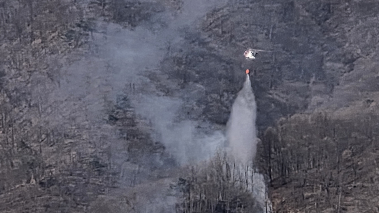 강원도 홍천 군부대 사격장 산불...1시간여 만에 진화