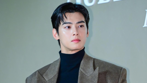 [Y초점] '탈세 의혹' 차은우, 세금 아끼려다 추징금·위약금 폭탄 맞나