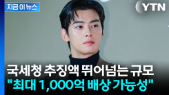 차은우, 세금 아끼려다가...업계서 나온 \'천문학적 배상\' 폭탄 전망 [지금이뉴스]