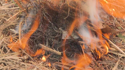 추위·건조 겹친 ’위험한 조합’…산불 위험 빨간불