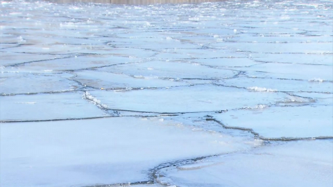 서울 건조·한파특보 동시 발령, 내일 -12℃…주말 낮 풀려