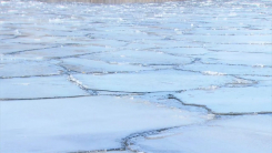 서울 건조·한파특보 동시 발령, 내일 -12℃...주말 낮 풀려