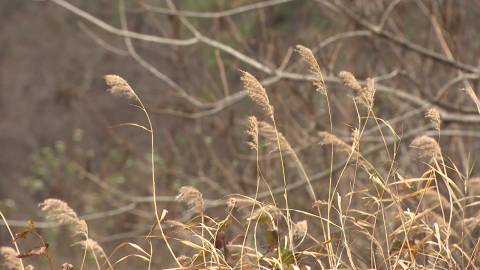 [날씨] 오늘도 전국 한파 기승…대기 건조 극심, 화재 주의