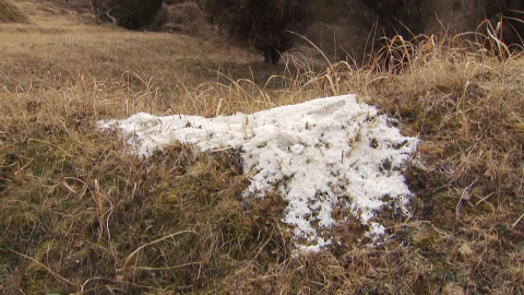 미신적 요소에 마을 묘소 곳곳 ’소금 테러’
