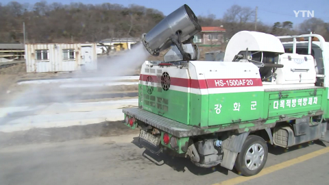 인천 강화서 구제역 발생…설 앞두고 방역 비상