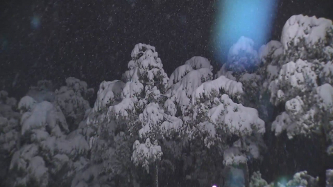 [날씨] 철원엔 17cm 폭설…수도권 눈 그쳤지만, 한때 재난문자