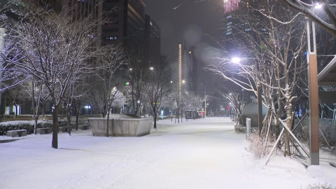 밤새 수도권 일대 대설주의보…월요일 출근길 ’비상’