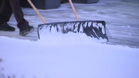 충청에 많은 눈, 출근길 ’비상’…대설주의보 해제