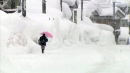 하루 183cm 폭설 기록...17명 사망·곳곳 휴교령