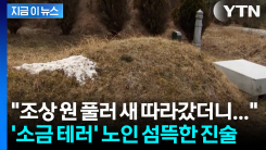 "조상이 원 풀어달라 해"... \'묘지 테러\' 노인 섬뜩한 진술 [지금이뉴스]