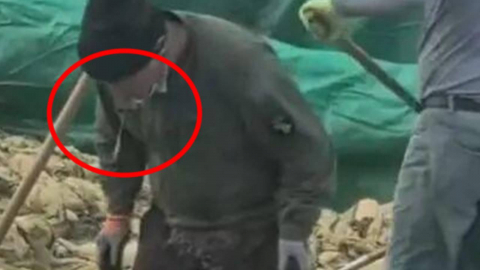 담배 피우며 침 뱉은 절임배추…中 공장 대표에 수억 원대 벌금