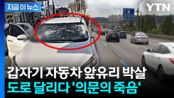 "미상 물체 날아와 앞유리에..." 조수석 탑승자 사망 [지금이뉴스] 