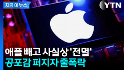 기술주 폭락에도 단단했던 \'사과\'...버블 공포 속 굳건한 애플 [지금이뉴스]