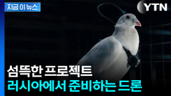 러시아, \'비둘기 드론\' 개발...군사 전용 우려 [지금이뉴스] 