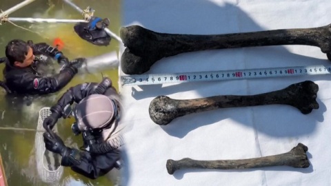 조세이 탄광 조선인 희생자 수색 나선 해외 잠수사들…"참가해 영광"