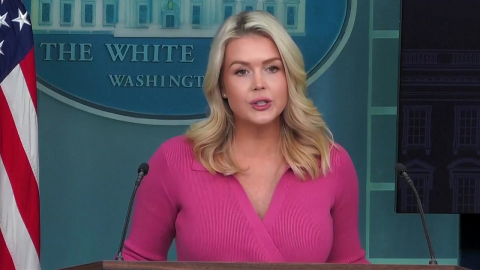 백악관 대변인 "한국 관세 인상 시점 파악하고 있지 않아"