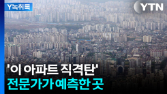 정부의 부동산 압박...전문가, '직격탄' 예측한 곳 [Y녹취록]