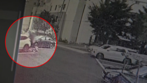  '사제 총으로 아들 살해' 60대, 1심 무기징역 선고