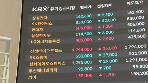 '삼전·하이닉스' 개인 사고 외인 팔고…승자는?