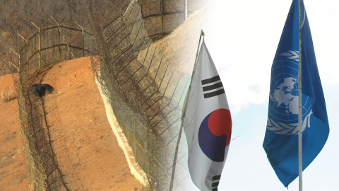 \'DMZ법\' 드라이브 예고한 여권…유엔사와 절충점 찾나