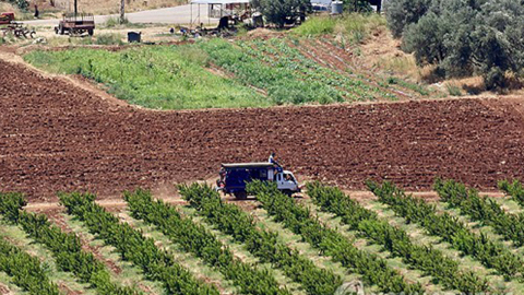 "이스라엘, 레바논 남부 농경지에 '발암 제초제' 살포"