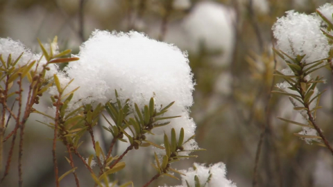 전국 이틀째 영하권 강추위…서해안 큰 눈