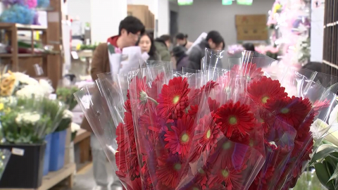 밖은 춥지만 꽃시장은 늘 봄!…양재 꽃시장 ’활기’