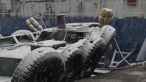 돌아온 강추위…눈까지 덮친다