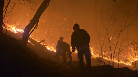  경주 문무대왕면에 산불 1단계 발령...양남면엔 소방대응 1단계 유지