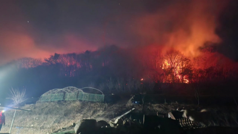  경주 문무대왕면에 산불 1단계…양남면엔 소방대응 1단계 계속