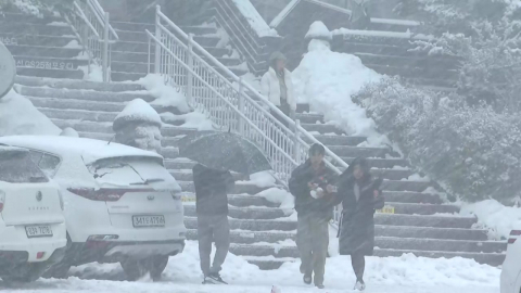 [날씨] 중부 한파·호남 대설·영남 건조…곳곳 기상특보