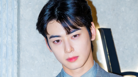 전직 국세청 조사관, 차은우 탈세 의혹에 