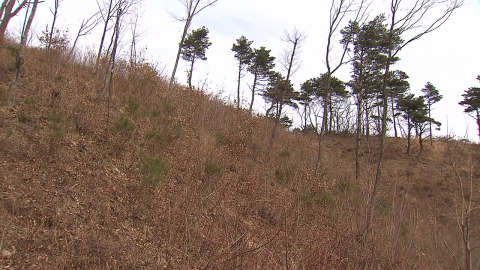 [날씨] 낮부터 영상권, 서울 등 건조특보…올해 산불 지난해보다 66%↑
